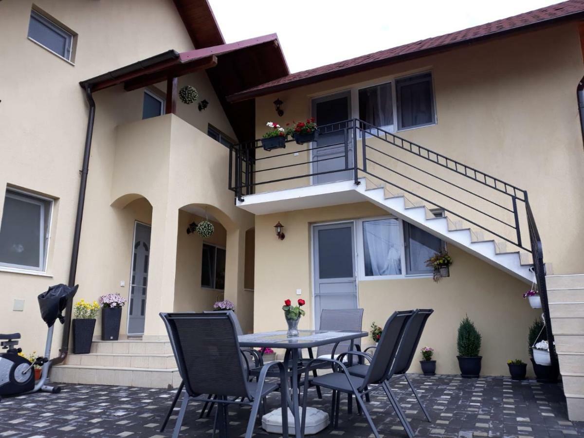 Casa Luisa Apartamento Călimăneşti Exterior foto